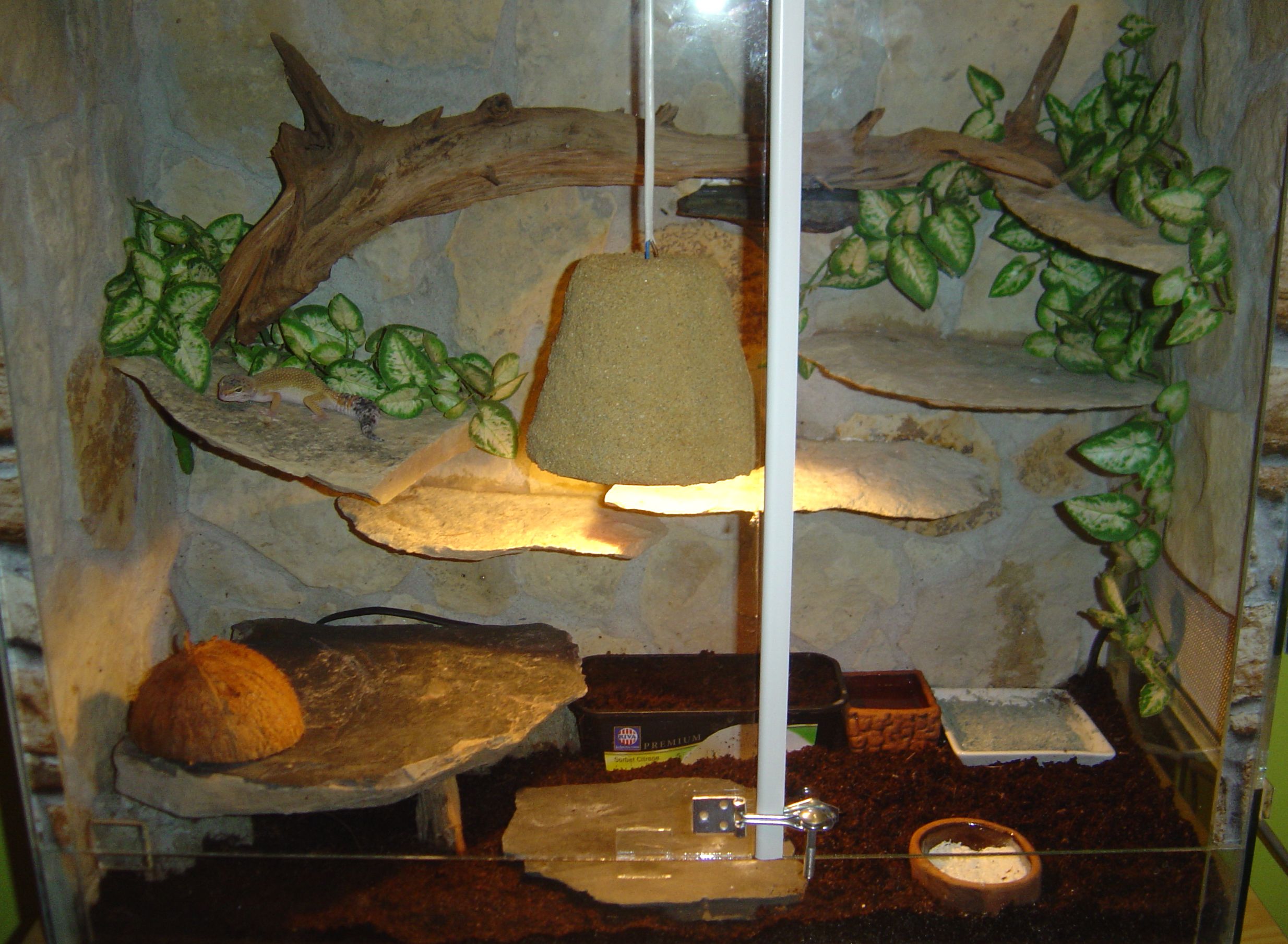 19.5. 2008 001.jpg