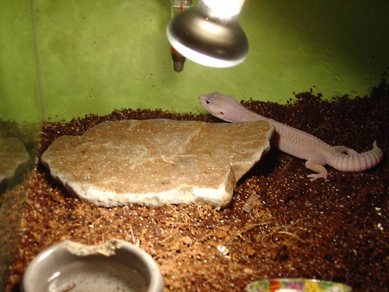 IGGY a JÁ 013.jpg