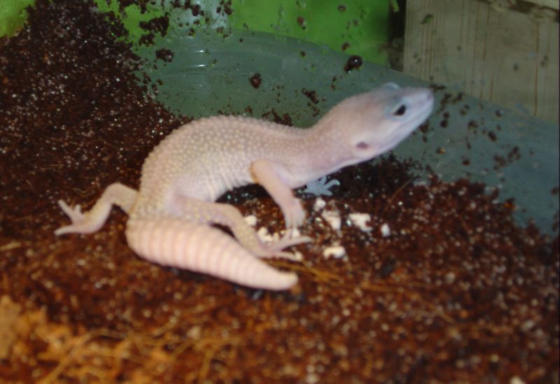IGGY a JÁ 003.jpg